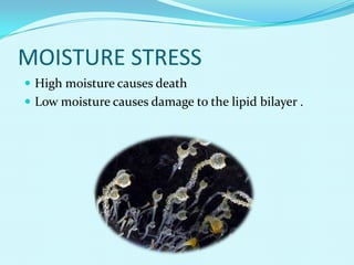 OXYGENIC AND IONIC STRESS Higher level of oxygen and its reactive    form causes inactivation of enzymes. Damage to DNA.Inactivation of nucleic acids.Naturally occurring ions causes ionic stress causes lightening, water shearing and ion displacement 