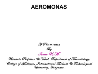 AEROMONAS A Presentation By Isaac U.M. Associate Professor & Head, Department of Microbiology, College of Medicine, International Medical & Technological University, Tanzania. 