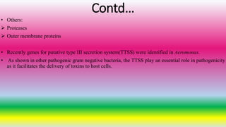 Contd…
• Others:
 Proteases
 Outer membrane proteins
• Recently genes for putative type III secretion system(TTSS) were identified in Aeromonas.
• As shown in other pathogenic gram negative bacteria, the TTSS play an essential role in pathogenicity
as it facilitates the delivery of toxins to host cells.
 