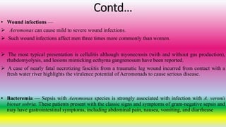 Contd…
• Wound infections —
 Aeromonas can cause mild to severe wound infections.
 Such wound infections affect men three times more commonly than women.
 The most typical presentation is cellulitis although myonecrosis (with and without gas production),
rhabdomyolysis, and lesions mimicking ecthyma gangrenosum have been reported.
 A case of nearly fatal necrotizing fasciitis from a traumatic leg wound incurred from contact with a
fresh water river highlights the virulence potential of Aeromonads to cause serious disease.
• Bacteremia — Sepsis with Aeromonas species is strongly associated with infection with A. veronii
biovar sobria. These patients present with the classic signs and symptoms of gram-negative sepsis and
may have gastrointestinal symptoms, including abdominal pain, nausea, vomiting, and diarrhease
 