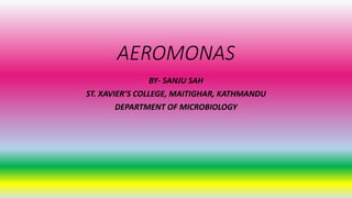 AEROMONAS
BY- SANJU SAH
ST. XAVIER’S COLLEGE, MAITIGHAR, KATHMANDU
DEPARTMENT OF MICROBIOLOGY
 
