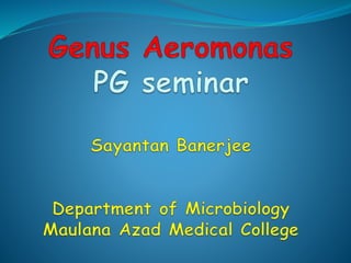 Aeromonas Postgraduate Seminar Maulana Azad Medical College Delhi