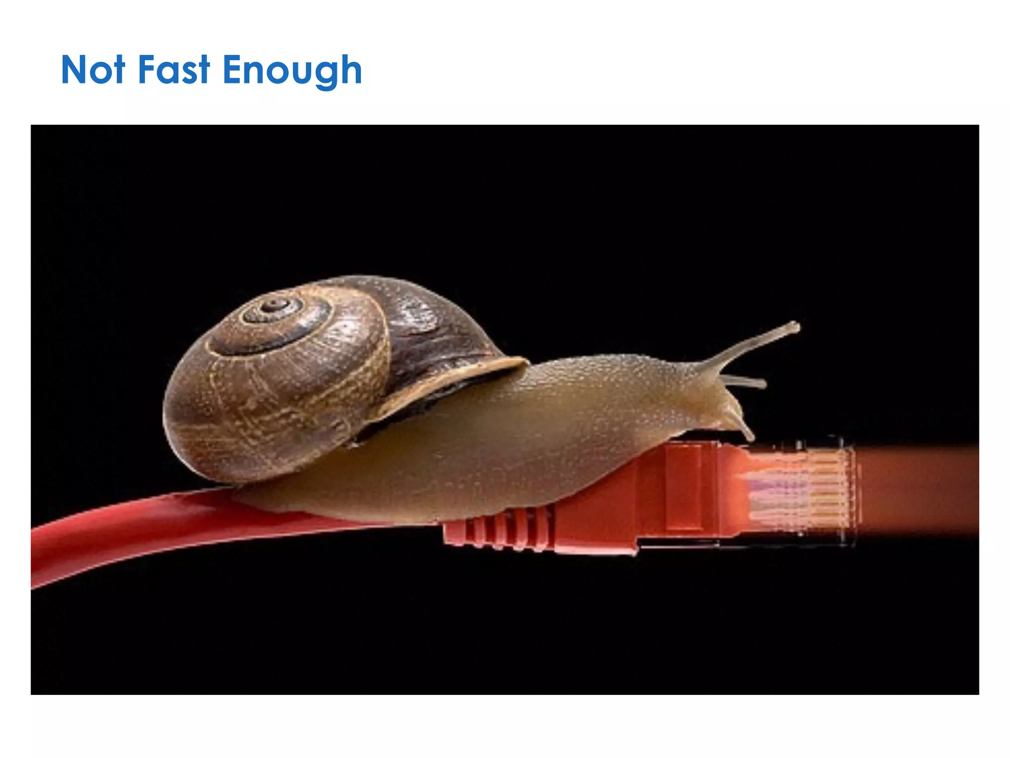 Not Fast Enough
 