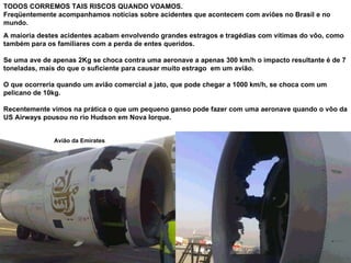 Avião da Emirates TODOS CORREMOS TAIS RISCOS QUANDO VOAMOS. Freqüentemente acompanhamos notícias sobre acidentes que acontecem com aviões no Brasil e no mundo.  A maioria destes acidentes acabam envolvendo grandes estragos e tragédias com vítimas do vôo, como também para os familiares com a perda de entes queridos.  Se uma ave de apenas 2Kg se choca contra uma aeronave a apenas 300 km/h o impacto resultante é de 7 toneladas, mais do que o suficiente para causar muito estrago  em um avião.  O que ocorreria quando um avião comercial a jato, que pode chegar a 1000 km/h, se choca com um pelicano de 10kg.  Recentemente vimos na prática o que um pequeno ganso pode fazer com uma aeronave quando o vôo da US Airways pousou no rio Hudson em Nova Iorque.  