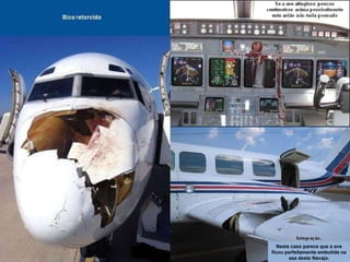 Neste caso parece que a ave ficou perfeitamente embutida na asa deste Navajo. 