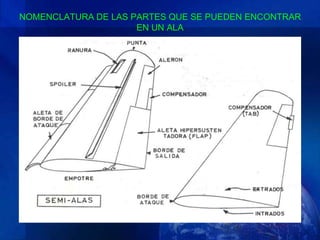NOMENCLATURA DE LAS PARTES QUE SE PUEDEN ENCONTRAR
                     EN UN ALA
 