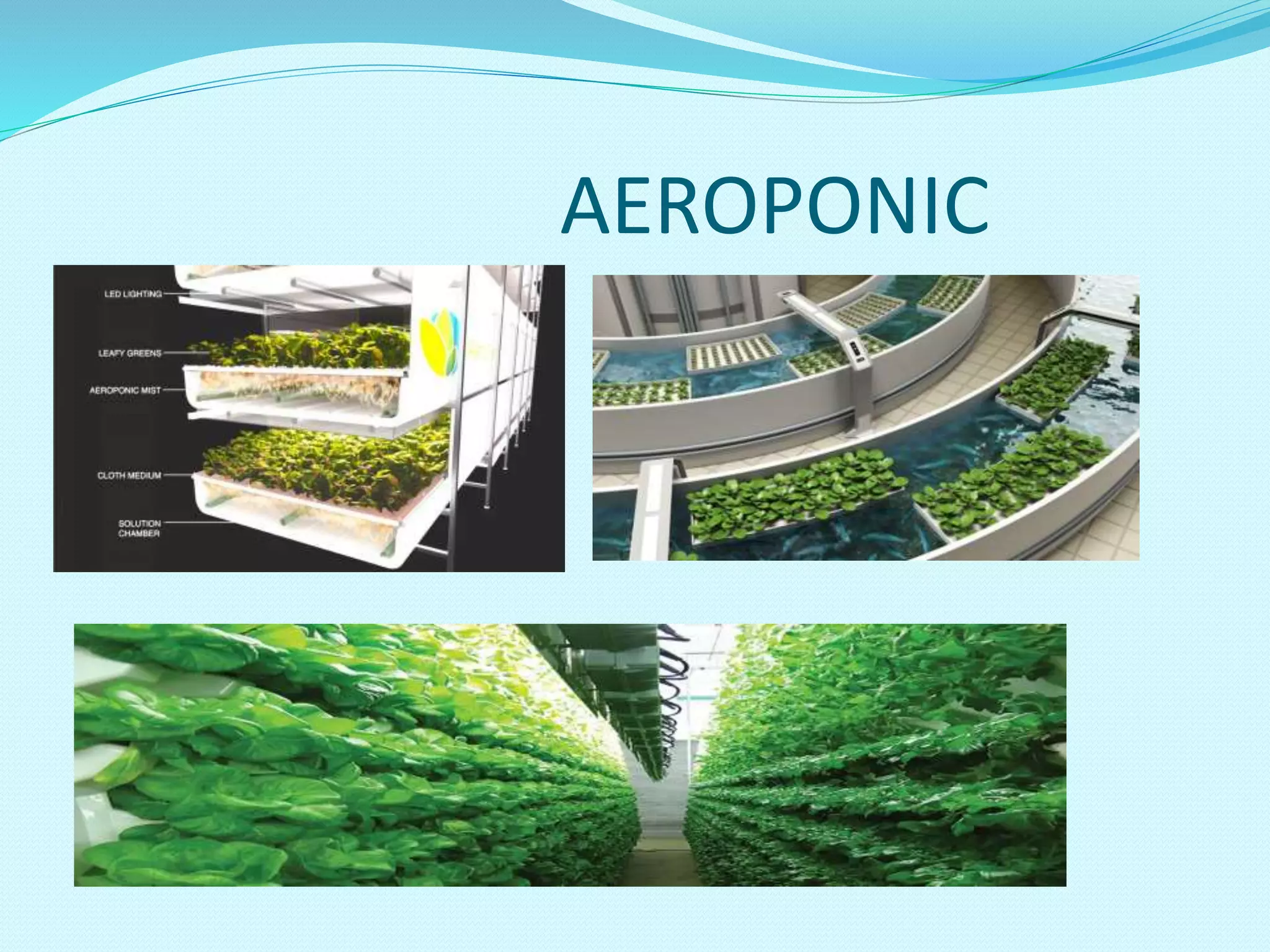 Aerophonics | PPTX