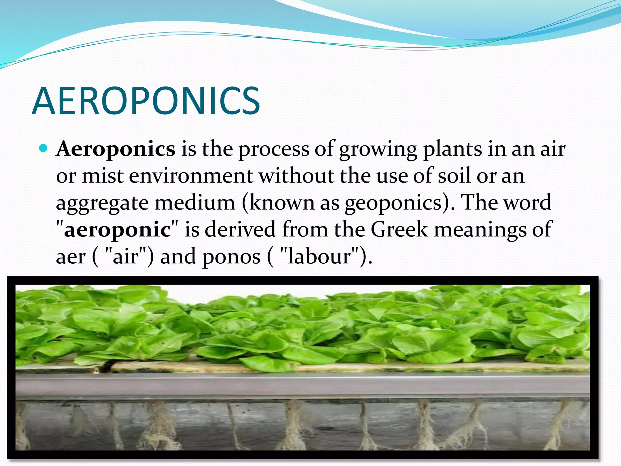 Aerophonics | PPTX