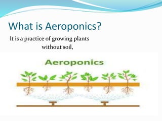 Aerophonics | PPTX