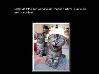 Todas as fotos são verdadeiras, menos a última, que foi só uma brincadeira. 