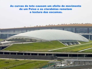 As curvas do teto causam um efeito de movimento de um Peixe e as clarabóias remetem a textura das escamas. 