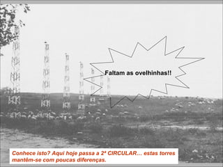 Conhece isto? Aqui hoje passa a 2ª CIRCULAR… estas torres
mantêm-se com poucas diferenças.
Faltam as ovelhinhas!!
 