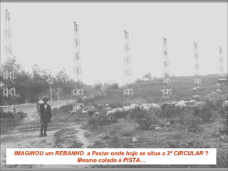 IMAGINOU um REBANHO a Pastar onde hoje se situa a 2ª CIRCULAR ?
Mesmo colado à PISTA…
 