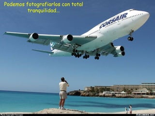 Podemos fotografiarlos con total
         tranquilidad…
 