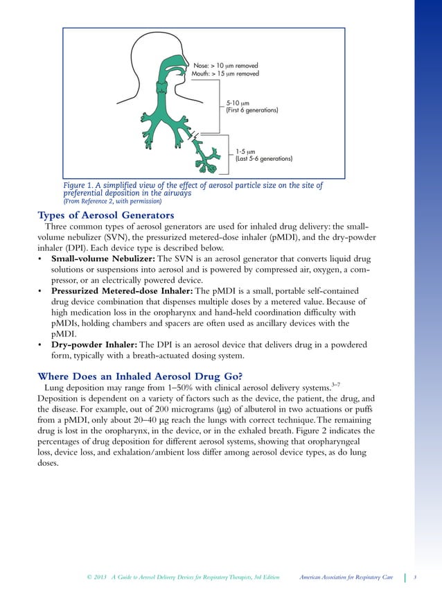A Guide to Aerosol Delivery Devices for Respiratory Therapists | PDF ...