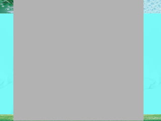 Metered Dose Inhalers (MDIs)
 