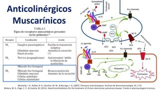 Anticolinérgicos
Muscarínicos
Michavila, I. A., Núñez, N. R., Sánchez, M. M., & Borrego, J. G. (2007). Fármacos anticolinérgicos. Archivos de Bronconeumología, 43, 3-10.
Matera, M. G., Page, C. P., & Cazzola, M. (2011). Novel bronchodilators for the treatment of chronic obstructive pulmonary disease. Trends in pharmacological sciences,.
 