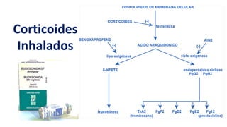 Corticoides
Inhalados
 