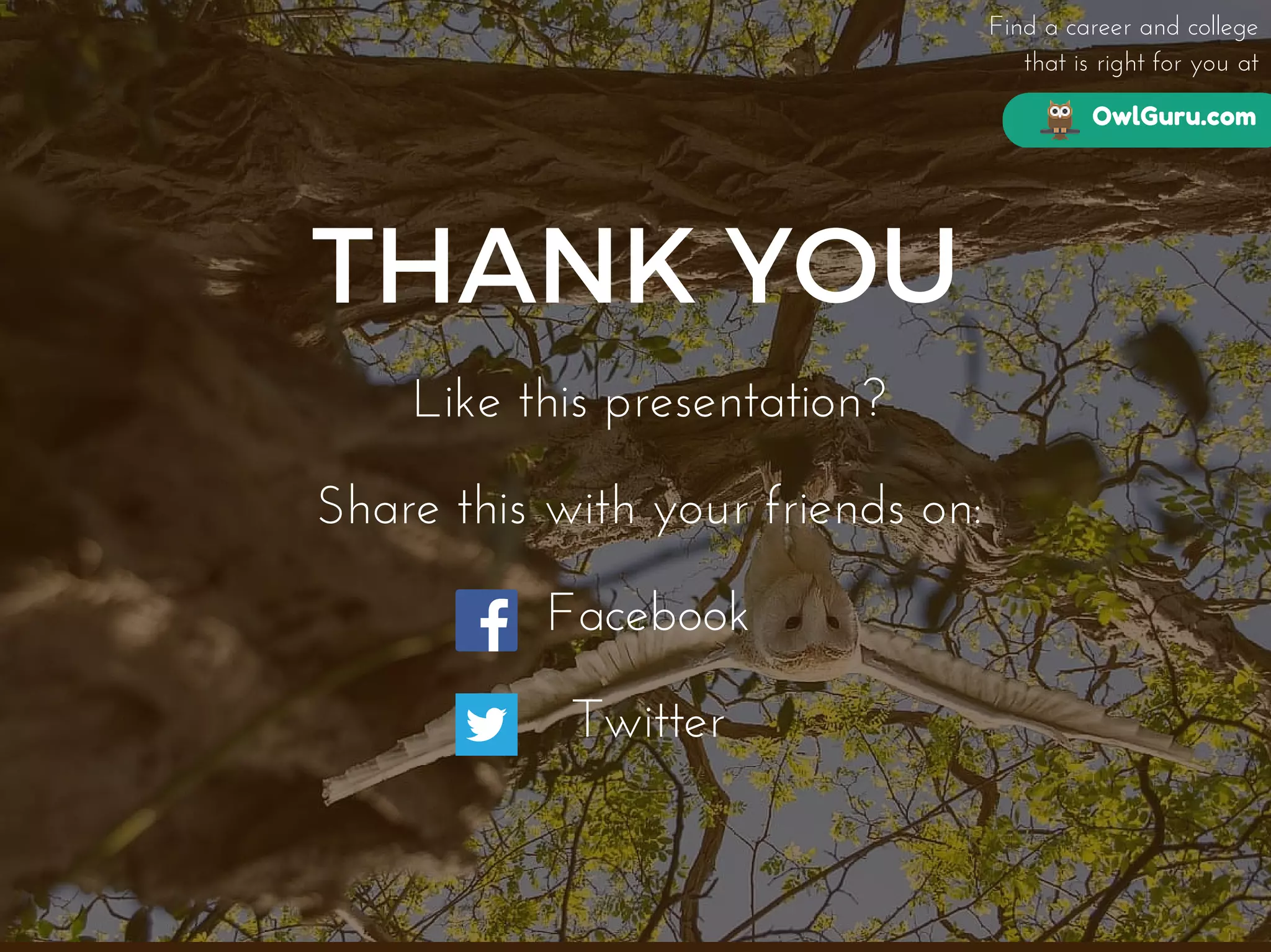 OwlGuru.com
Find a career and college
that is right for you at
THANK YOU
Like this presentation?
Share this with your friends on:
Facebook
Twitter
 