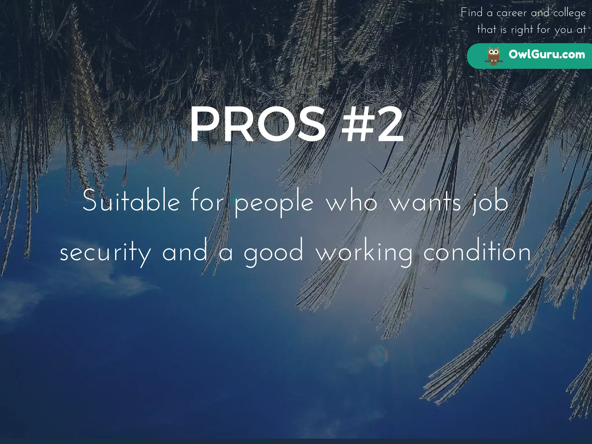 OwlGuru.com
Find a career and college
that is right for you at
PROS #2
Suitable for people who wants job
security and a good working condition
 