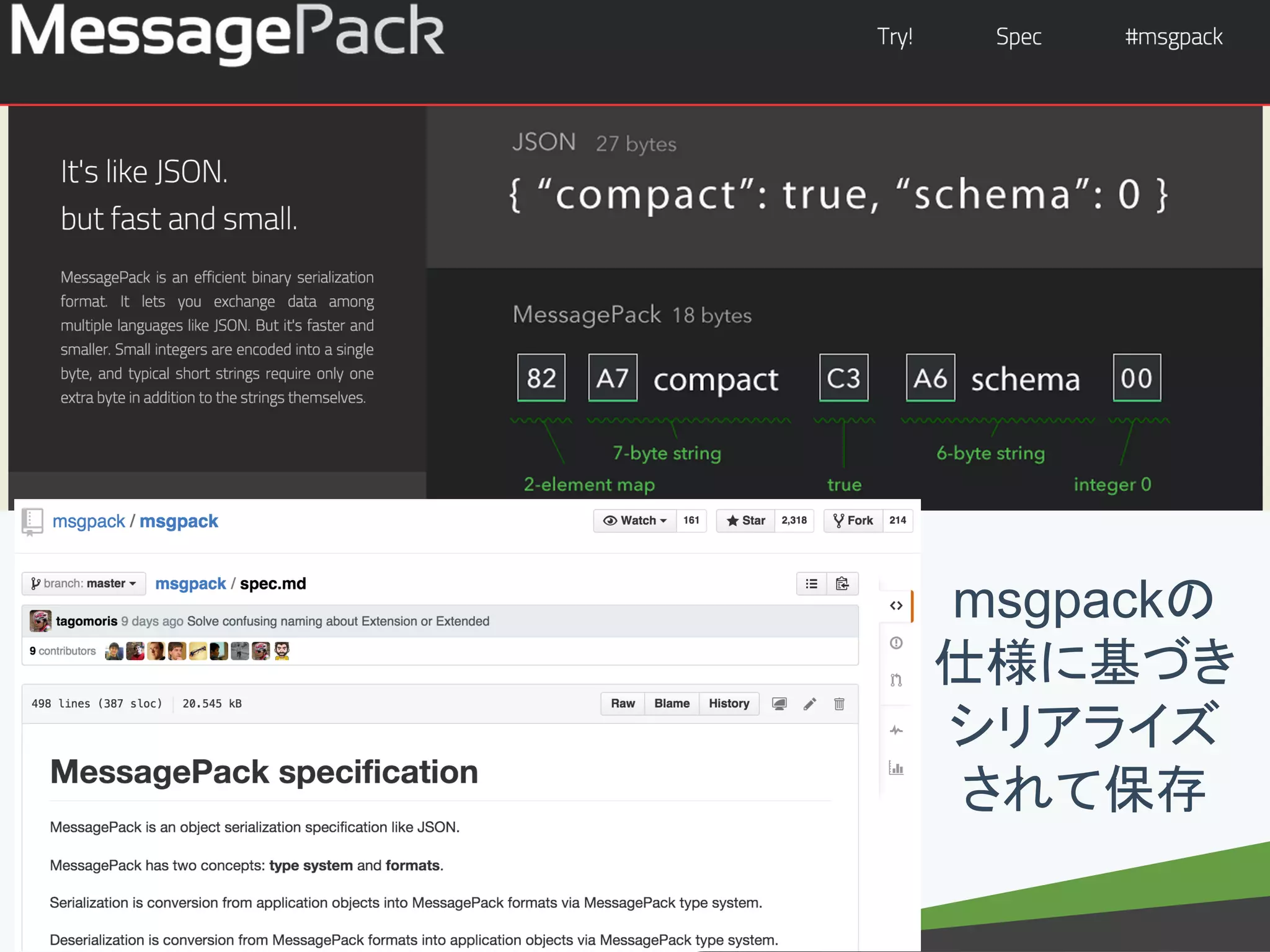 － －copyright Fringe81 Co.,Ltd.
msgpackの
仕様に基づき
シリアライズ
されて保存
 