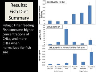 Diet Quality (CHLa)
     Results:
    Fish Diet
    Summary
Pelagic Filter feeding   CHLa per Fish
Fish consume higher
concentrations of
CHLa, and more
CHLa when
normalized for fish        CHLa per fish, normalized to fish size

size
 