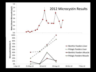2012 Microcystin Results
 
