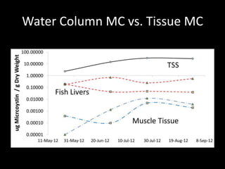 Water Column MC vs. Tissue MC
 