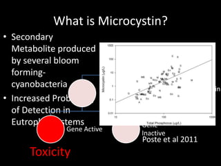 What is Microcystin?
• Secondary
  Metabolite produced
                                    Cyanobacteria
  by several bloom
  forming-
                                                    Lacks
  cyanobacteria                 Contains
                                                    Microcystin
                             Microcystin
• Increased Probability   producing gene
                                                    producing
                                                    gene
  of Detection in
  Eutrophic Systems                   Gene
               Gene Active
                                      Inactive
                                      Poste et al 2011
      Toxicity
 