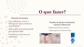 O que fazer?
Picadas de insetos:
- Com uma pinça, retirar o
ferrão (caso sejas picado por
uma abelha);
- Aplicar gelo no local da picada
para alívio da dor;
- Desinfetar o local com um
antissético.
Picadas de peixes venenosos,
ouriços, alforrecas:
Podem causar dores intensas
- Aplicar gelo ou cloreto de etilo.
 