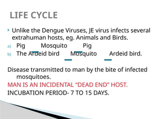 AES acute encephalitis syndrome ppt 1.pptx