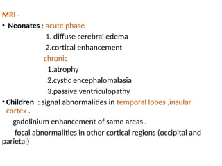 AES acute encephalitis syndrome ppt 1.pptx