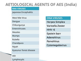 AES acute encephalitis syndrome ppt 1.pptx