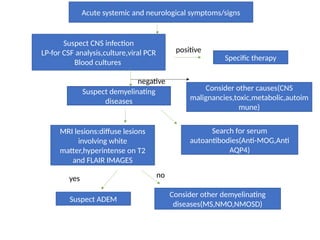 AES acute encephalitis syndrome in 2.pptx