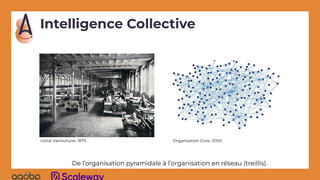 Intelligence Collective
Usine Vanoutryve, 1873
De l’organisation pyramidale à l’organisation en réseau (treillis).
Organisation Gore, 2000
 