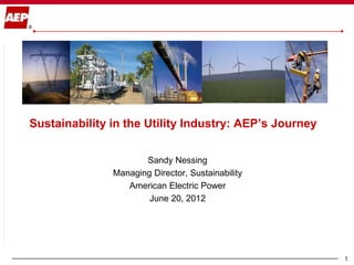 Sustainability in the Utility Industry: AEP’s Journey


                      Sandy Nessing
               Managing Director, Sustainability
                  American Electric Power
                       June 20, 2012




                                                        1
 