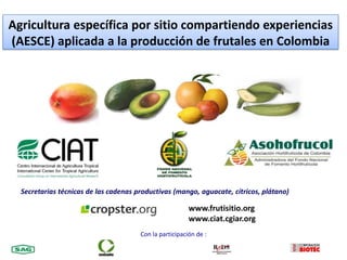 Agricultura específica por sitio compartiendo experiencias (AESCE) aplicada a la producción de frutales en Colombia Secretarias técnicas de las cadenas productivas (mango,aguacate, cítricos, plátano) www.frutisitio.org www.ciat.cgiar.org Con la participación de : 