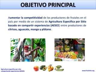 OBJETIVO PRINCIPAL
          Aumentar la competitividad de los productores de frutales en el
          país por medio de un sistema de Agricultura Especifica por Sitio
          basado en compartir experiencias (AESCE) entre productores de
          cítricos, aguacate, mango y plátano.




Agricultura específica por sitio
compartiendo experiencias (AESCE)                                     www.frutisitio.org
 