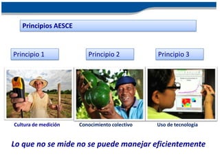 Principios AESCE


Principio 1              Principio 2           Principio 3




Cultura de medición   Conocimiento colectivo   Uso de tecnología


Lo que no se mide no se puede manejar eficientemente
 