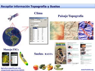 Recopilar información Topografía y Suelos

                                    Clima
                                                        Paisaje/Topografía

                                                  Elevation   Slope      Aspect




   Manejo:TICs
                                    Suelos:   RASTA




Agricultura específica por sitio
compartiendo experiencias (AESCE)                                       www.frutisitio.org
 