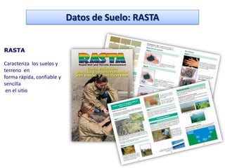 Datos de Suelo: RASTA


RASTA

Caracteriza los suelos y
terreno en
forma rápida, confiable y
sencilla
 en el sitio
 