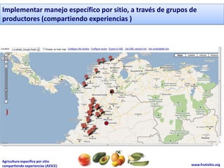 Implementar manejo específico por sitio, a través de grupos de
productores (compartiendo experiencias )




  )




Agricultura específica por sitio
compartiendo experiencias (AESCE)                           www.frutisitio.org
 