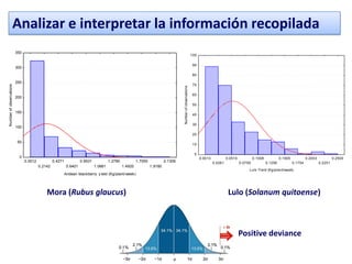 Analizar e interpretar la información recopilada
                         350
                                                                                                                                                           100

                                                                                                                                                            90
                         300
                                                                                                                                                            80

                         250
                                                                                                                                                            70
Number of observations




                                                                                                                                  Number of observations
                                                                                                                                                            60
                         200
                                                                                                                                                            50

                         150
                                                                                                                                                            40

                                                                                                                                                            30
                         100
                                                                                                                                                            20

                          50
                                                                                                                                                            10

                                                                                                                                                             0
                          0                                                                                                                                      0.0013            0.0510            0.1008            0.1505            0.2003            0.2500
                               0.0012            0.4271            0.8531            1.2790            1.7050            2.1309                                           0.0261            0.0759            0.1256            0.1754            0.2251
                                        0.2142            0.6401            1.0661            1.4920            1.9180
                                                                                                                                                                                                 Lulo Yield (Kg/plant/week)
                                                      Andean blackberry y ield (Kg/plant/week)




                                            Mora (Rubus glaucus)                                                                                                                    Lulo (Solanum quitoense)



                                                                                                                                                                                            Positive deviance
 