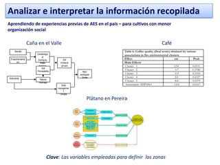 Analizar e interpretar la información recopilada
Aprendiendo de experiencias previas de AES en el país – para cultivos con menor
organización social

                   Caña en el Valle                                                                     Café
     Rainfall                                                             Table 6. Coffee quality (final score) obtained by various
                       Climatologic                                       associations in five environmental clusters
                            al
 Evapotranspirat        Zoning by        Soil                             Effect                                   est            Prob
      ion                 Water         moisture                          Main Effects
                         balance        groups                             Cluster 1                               12.8          0.0111
                           Soil
                       Permeability
                                                                           Cluster 2                               -3.7          0.3780
                                                      Agro
                                                   ecological              Cluster 3                               -2.5          0.5316
Soils study                                          Zones                 Cluster 4                                2.0          0.6327
                          Natural
                                                                           Cluster 5                               -8.6          0.0379
                         drainage
                                         Soils                             Association ADPASO                     -12.6          0.0167
                                      managemen
                                           t
                                        Groups

                                                          Plátano en Pereira




                                Clave: Las variables empleadas para definir las zonas
 