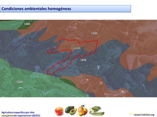 Condiciones ambientales homogéneas




Agricultura específica por sitio
SDR de Pereira experiencias (AESCE)   Nelson Vásquez Bautista
                                          www.frutisitio.org
compartiendo
 