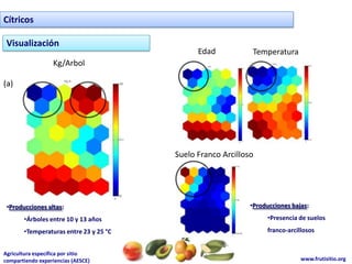 Cítricos

 Visualización
                                              Edad            Temperatura
                  Kg/Arbol

(a)




                                        Suelo Franco Arcilloso




 •Producciones altas:                                        •Producciones bajas:

       •Árboles entre 10 y 13 años                                •Presencia de suelos
       •Temperaturas entre 23 y 25 °C                             franco-arcillosos


Agricultura específica por sitio
compartiendo experiencias (AESCE)                                             www.frutisitio.org
 