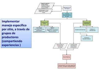 Implementar
manejo específico
por sitio, a través de
grupos de
productores
(compartiendo
experiencias )
 