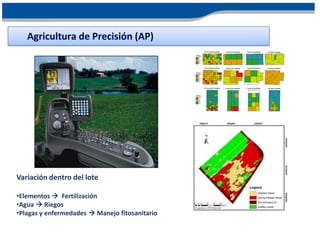 Agricultura de Precisión (AP)




Variación dentro del lote

•Elementos  Fertilización
•Agua  Riegos
•Plagas y enfermedades  Manejo fitosanitario
 
