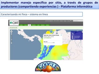 Implementar manejo específico por sitio, a través de grupos de
productores (compartiendo experiencias ) - Plataforma informática

Caracterizando mi finca – sistema en linea
 