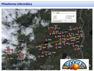 •Plataforma informática
 